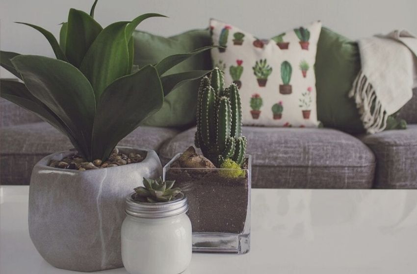 7 dicas de decoração que te ajudarão a se sentir melhor em casa.