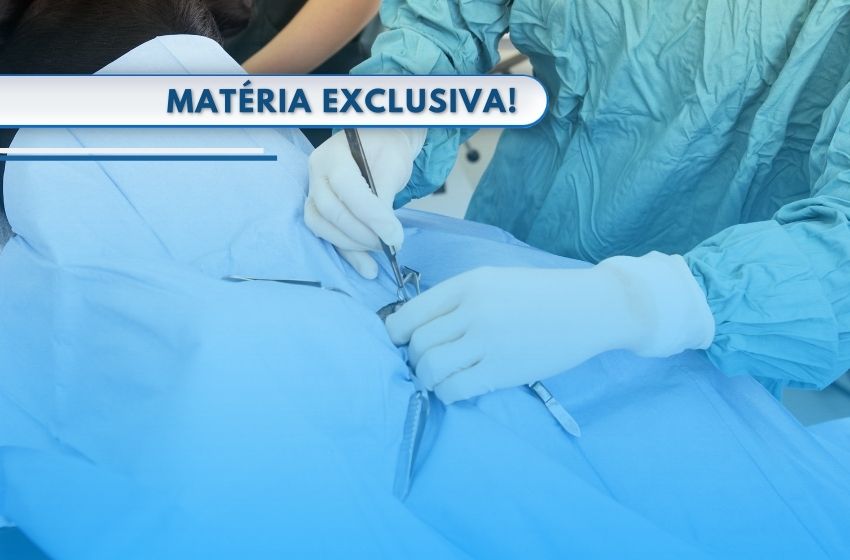 Castração gratuita para cães e gatos no Jd. Nova Europa em Campinas - como isso pode ajudar?