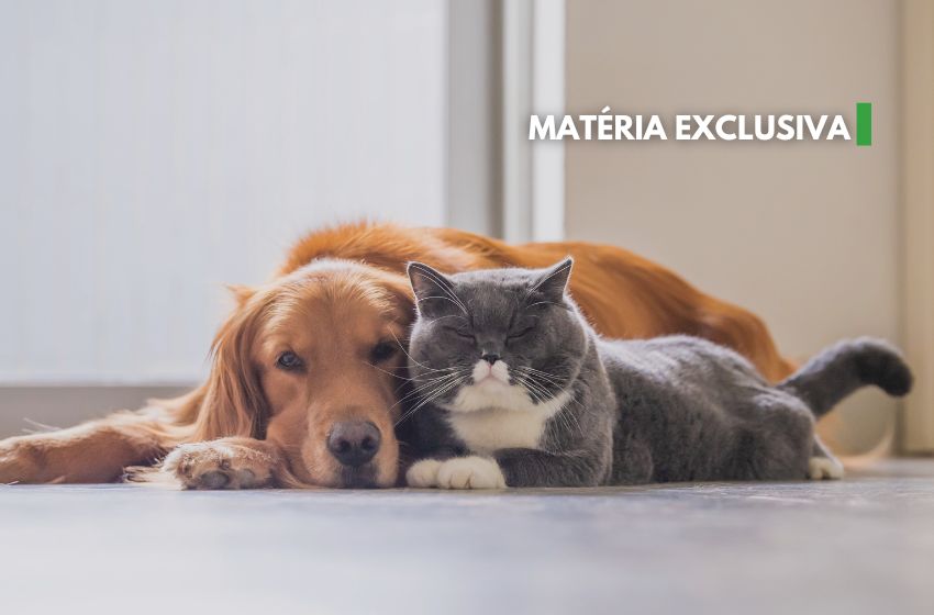 Pets no condomínio: confira dicas para maior diversão e tranquilidade.