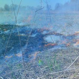 Incêndio atinge área preservada próxima a condomínio e reforça alerta sobre cuidados preventivos